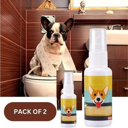 Potty Training Spray for Pets